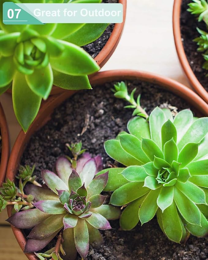 vensovo 5.7 Inch Grey Terracotta Shallow Succulent Pots - 6 Pack Terra Cotta Clay Pot with Saucer, Cacuts Indoor and Outdoor Planters with Drainage Hole