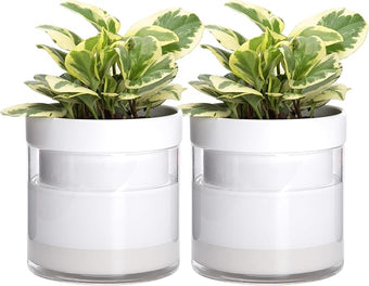 Phoenix Vine 6 Inch Self Watering Planter, White Terracotta Clay Pot with Glass Reservoir for Indoor Plants, Herbs, Flowers, Set of 2, 52-B-F-2