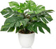 Hollyone Artificial Monstera Plant Faux Monstera Deliciosa Plant Potted Fake Tropical Plants in Pot for Indoor Outdoor Home Decoration