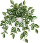 Briful Fake Plants Indoor Artificial Potted Silk Plants Faux Watermelon Peperomia Cascading Vine Plant for Home Office Livingroom Desk Shelf Mantle Decoration(Green/White - 1 Pack)