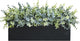 Winlyn 14" Artificial Eucalyptus Arrangement Faux Eucalyptus Plants in Black Rectangular Wooden Planter Box Artificial Potted Plant for Farmhouse Home Wedding Table Centerpiece Shelf Greenery Décor
