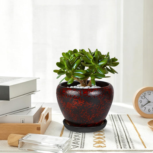 Ceramic Plant Pots With Saucer & Drainage, 6 inch Indoor Flower Pots
