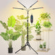 4-Head Tripod Stand Grow Lights for Tall House Plants, Seed Starting, Bonsai Tree with Timer, 36W Standing LED Plant Growing Lamps, Enough High-Intensity Like Sun, Best Gift for Plants Lover