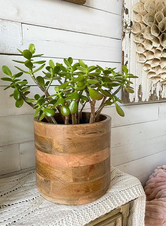 Serene Spaces Living Large Brown Mango Wood Cachepot, Natural Wooden Pot for Faux Flowers & Plants, Potted Indoor Plants, Rustic Home, Office, Restaurant Decor, 9" Diameter & 8.5" Tall