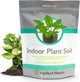 Perfect Plants Indoor Plant Soil 4qt | Perfectly Balanced Potting Mix | Gardening Substrate for All Varieties of Live houseplants