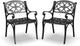 Homestyles Sanibel Black Stationary Cast Aluminum Outdoor Dining Chair, 2 Piece Patio Chairs, Set of 2 Garden Chairs with Armrest & Backrest for Garden Patio Pool Beach Yard, Black