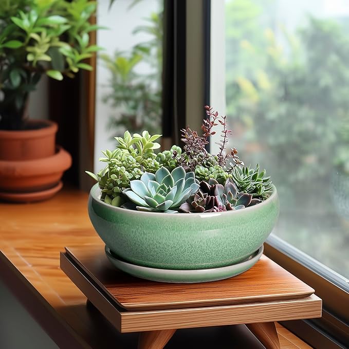 SQOWL Bonsai Planter - 8 Inch Ceramic Succulent Planters for Indoor Plants Outdoor, Shallow Round Planter with Drainage Hole and Saucer, Ceramic Bowl Planters, Home Decor, Birthday Gifts, Green