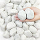 FANTIAN 5 lbs White Matte Rocks for Plants, 2-3 Inch Large Pebbles for Indoor Plants, Decorative River Stones for Succulent, Landscaping, Vases, Crafting and Garden