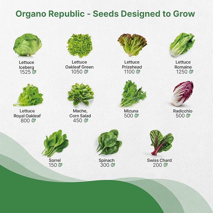 Organo Republic 22 Lettuce & Salad Greens Seeds Variety Pack 24,700+ Non-GMO Heirloom Lettuce Seeds for Indoor & Outdoor Garden, Hydroponics, Aerogarden - Arugula, Kale, Spinach, Swiss Chard, Lettuce