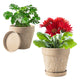 Melphoe Plant Pots Indoor with Drainage & Saucer, 2Pack 7/8 inch Flower Pots Outdoor Planters for Indoor Plants Garden Home Decor Cactus Succulent, Rigid Plastic (Imitation-Terracotta) Vine-Embossed