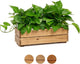 Wooden Planter Box, Storage Box 17”L x6”W x5.5”H with Crate Style, Acacia Wood Flower Container, Rustic Rectangle Planter for Planting, Decor and Storage - 3 Colors (Golden Teak)