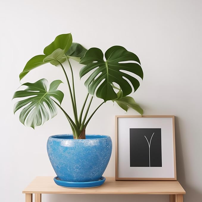 6 Inch Plant Pot - Ceramic Planter Pot with Drainage Hole and Saucer, Glaze Succulent Pot Modern Round Flower Pot for Indoor Plants, Blue