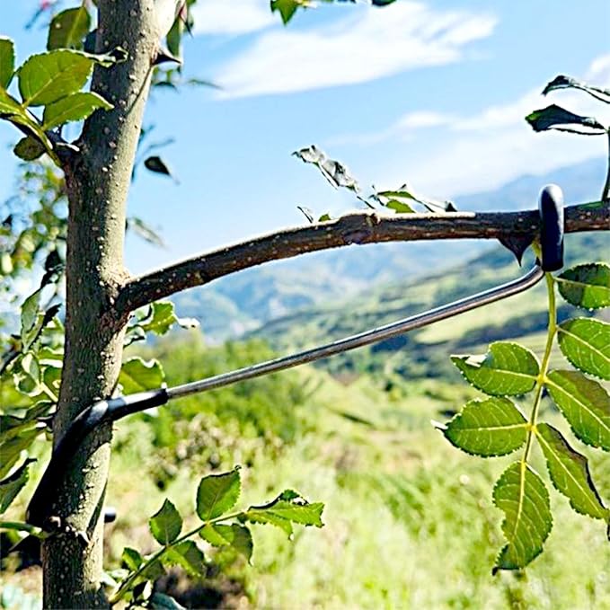 Fruit Tree Branch Spreaders 20PCS Fruit Tree Limb Spreaders Branch Spreader for Fruit Trees Durable Solution Tree Support Branches Tree Branch Spreaders for Fruit Trees New Branches (7 inches)
