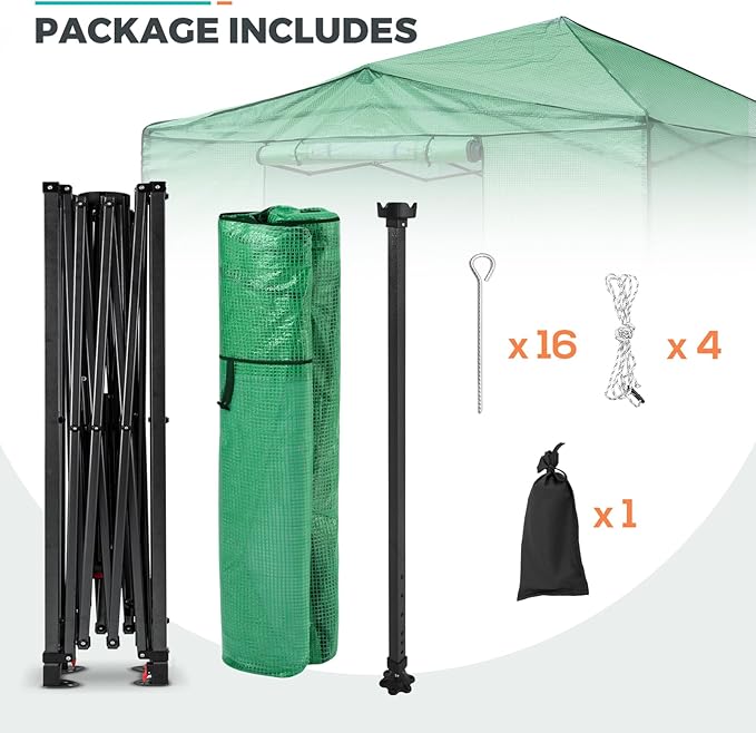 EAGLE PEAK Instant Pop-up Greenhouse, Indoor Outdoor Plant Gardening Green House, Roll-Up Zipper Doors & Side Windows - Winter Support Pole, Walk in 12x8 ft, Green/Clear
