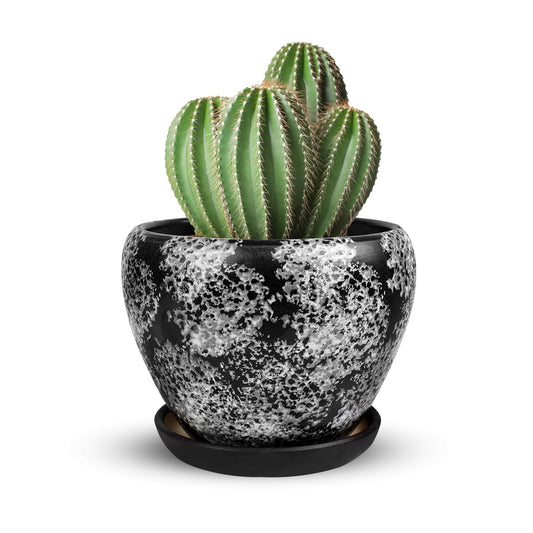 Ceramic Plant Pots With Saucer & Drainage, 6 inch Indoor Flower Pots