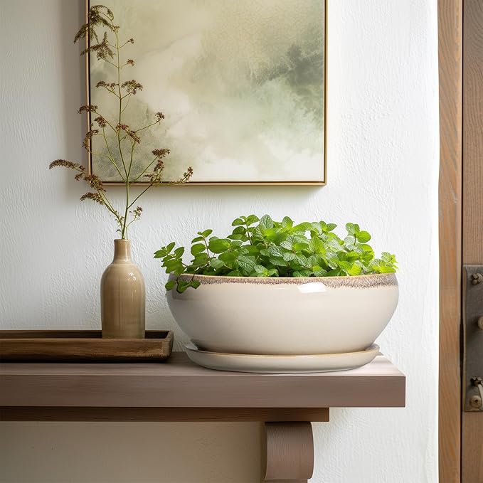 SQOWL Bonsai Tree Pots - 10 Inch Ceramic Succulent Pots, Round Shallow Planter with Drainage Hole and Tray, Bowl Planter for Indoor Outdoor Plants Flowers, Room Decor, Garden Gifts, Beige