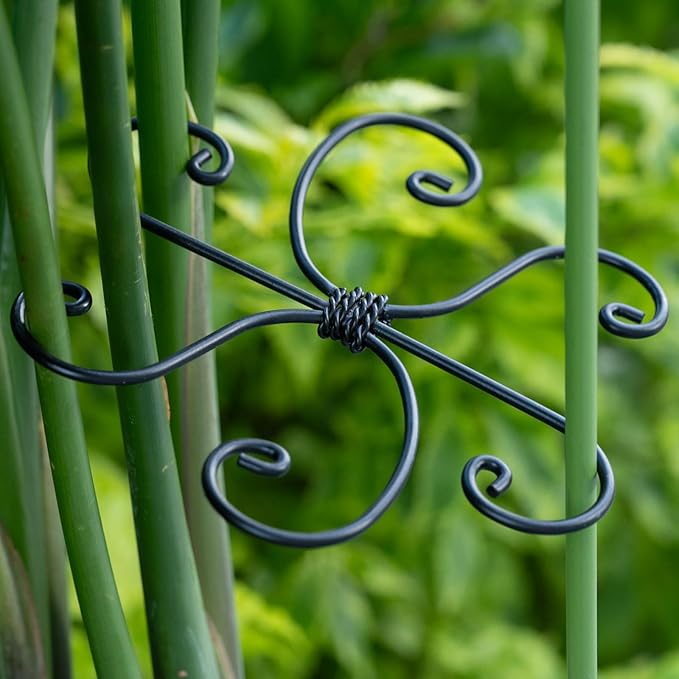 Black Monstera Plant Support 5.5IN 5PCS Premium Stem Support System for Indoor Plants, Durable Stabilizer for Monstera and Climbing Plants, Easy Installation Leaf Holder, Fishbone Cactus Stake