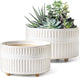 LE TAUCI Succulent Planters, 6.5+8 Inch Ceramic Indoor Plant Pot with Drainage Hole, Shallow Round Succulent Pots, Set of 2, Reactive Glaze White