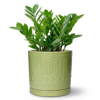 Eightpot Ceramic Pots for Plants, 8 Inch Plant Pot with Drainage Hole and Tray, Round Planters for Indoor Plants, Modern Flower Pot, Decorative Planter, Living Room Decor, Gardening Gifts, Green