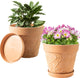 Melphoe Plant Pots Indoor with Drainage & Saucer, 2Pack 10 inch Flower Pots Outdoor Planters for Indoor Plants Garden Home Decor Cactus Succulent, Rigid Plastic (Imitation-Terracotta) Vine-Embossed