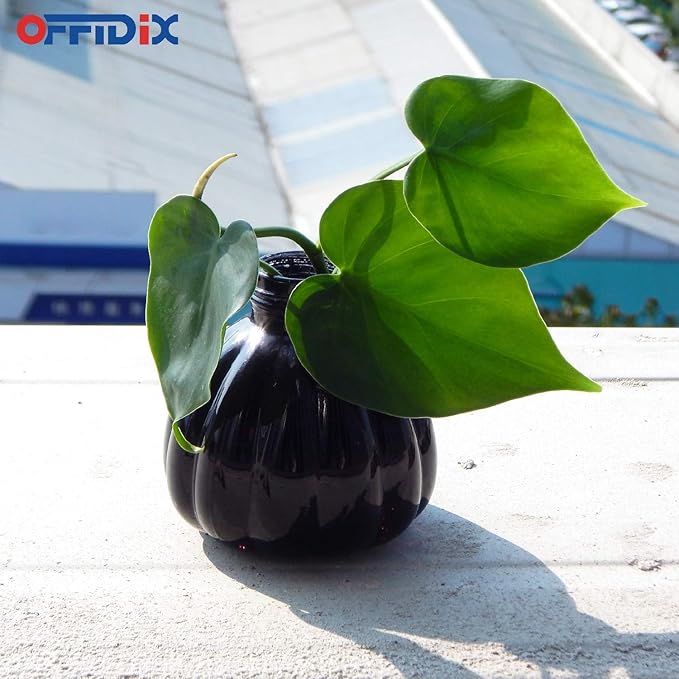 OFFIDIX Plant Mister Flower Watering Can, 6.3" Tall Vintage Pumpkin Style Black Color Glass Spray Bottle & Bronze Plastic Top Pump Ideal for Watering Small Plants Inside Home or Office