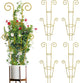 ZOUTOG Trellis for Climbing Plants Indoor 4 Pack 30 Inch,Rustproof Metal Garden Trellis for Potted Plants,Houseplant Support Indoor Outdoor for Ivy Pothos Monstera Hoya Flower Vines(Golden Round)