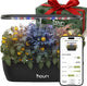Nouri 12 pod APP Smart Garden for Home Cooks | Heirloom Tomato | Hydroponics Growing System | LED Grow Lights | Indoor Herb Garden Kit | Herb Growing Kit Indoors for Plant Lovers, Gardeners, Kitchen