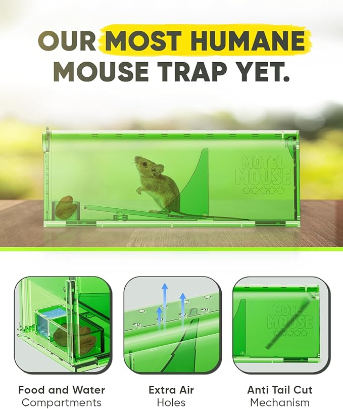 Motel Mouse Humane Mouse Traps No Kill Live Catch and Release 4 Pack - Reusable, Easy to Use & Clean, No Touch Release, Sensitive Includes Cleaning Brush, Instruction Manual & Video - Mousetrap Indoor