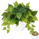 Waipfaru Faux Plants Indoor with Ceramic Pots, Realistic Small Fake Plants, Fake Plants with Pothos, Fake Potted Plants, Artificial Plant for Home Shelf Bathroom Kitchen Office Indoor Outdoor Decor