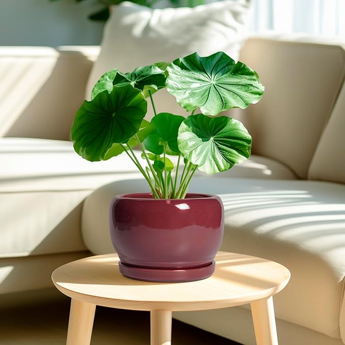 SQOWL Ceramic Planter - 8 Inch Plant Pot with Drainage Hole and Saucer, Round Planter for Indoor Outdoor Plants, Modern Decorative Flower Pots, Home Decor, Plant Lover Gifts, Red