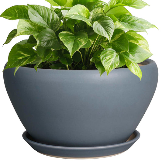 Ceramicfor Ceramic Pots for Plants - 9 Inch Planter for Outdoor Plants Large Plant Pot Indoor with Drainage Hole and Saucer Decorative Modern Flower Pot for Home Garden Decor Gray