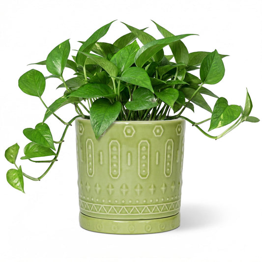 Eightpot Ceramic Flower Pots, 6 Inch Planter for Indoor Plants Outdoor, Round Pots for Plants with Drainage Hole and Tray, Modern Decorative Plant Pot, Bathroom Decor, Green
