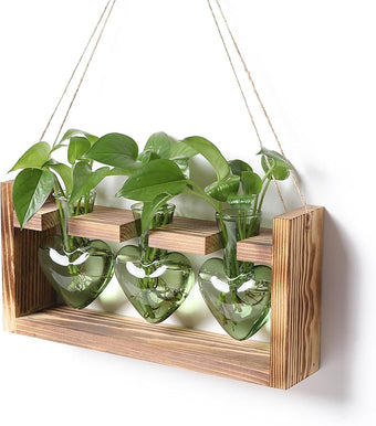 Plant Terrarium Propagation Stations Hydroponics Home Garden Decoration Gift for Women with Wooden Stand Heart Shaped Colored Glass Vase