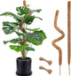 2 Pack Moss Pole, 28 Inch Bendable Moss Pole for Plants Monstera, Moss Poles for Climbing Plants Indoor, Coir Plant Pole Sticks Support Stakes for Potted Plant, Pothos, Philodendron