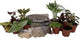 Hirt's Terrarium Kit with 10 Terrarium Plants in 2" Pots