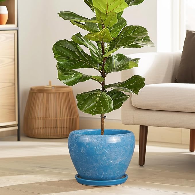 Ceramic Planter - 8 Inch Plant Pot with Drainage Hole and Saucer, Glaze Round Flower Pot for Home Garden Patio Office, Blue
