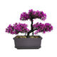 Meluvora 8.66" Artificial Bonsai Tree with Textured Trunk, Broad Canopy and Pebble Base for Bathroom Desk Shelf, Japanese and Zen Decor(Rose Red)