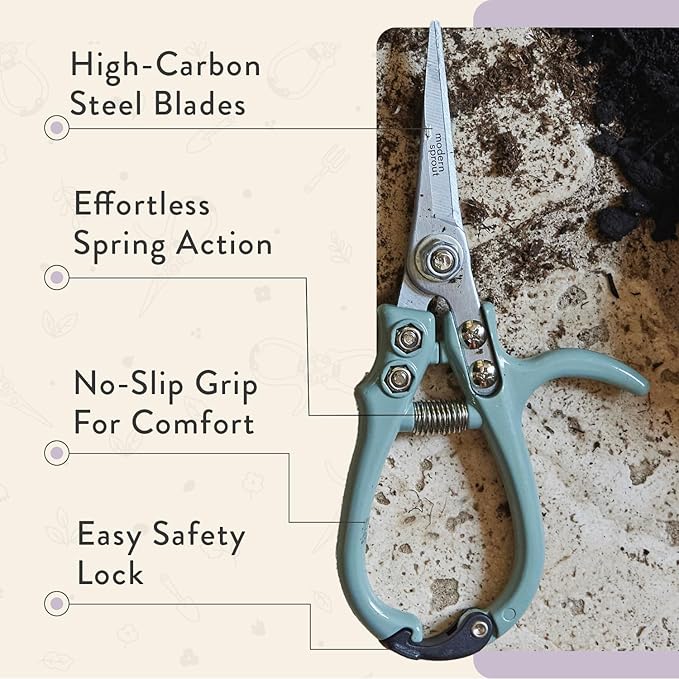 Modern Sprout Pruning Shears - Herb Snipping Scissors- Lightweight Gardening Tools W/Easy Lock - Flower Cutter Garden Shears - Carbon Steel Blade + Reusable Holster (Lavender, 1-Pack)