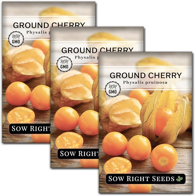 Sow Right Seeds - Ground Cherries Seeds for Planting - Non-GMO Heirloom Packet with Instructions to Plant an Outdoor Home Vegetable Garden - Mexican Husk Tomato - Endangered Variety (3)