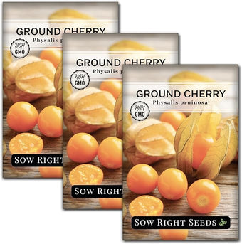 Sow Right Seeds - Ground Cherries Seeds for Planting - Non-GMO Heirloom Packet with Instructions to Plant an Outdoor Home Vegetable Garden - Mexican Husk Tomato - Endangered Variety (3)