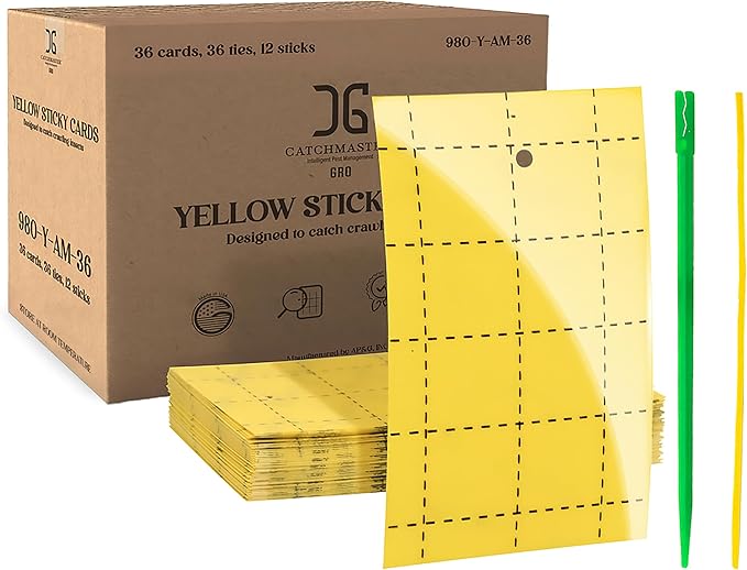 Catchmaster GRO Yellow Regular Double Sided Sticky Traps 36PK, Adhesive Bug & Fruit Fly Trap, Pest Control for Home, Farm, Garden, Hydroponics & Greenhouse, Protect Live Plants Indoor & Outdoor
