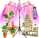 Wolezek Grow Lights for Indoor Plants, 100 LEDs Full Spectrum Plant Lights for Indoor Growing with Adjustable Stand, 5-Heads Grow Lamp with Auto 6/12/16H Timer, 3 Light Modes, 5 Levels Dimmable