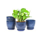 Sureasy Ceramic Indoor Plant Pots - 5.6 Inch Flower Pots for Plants with Drainage Hole and Saucer, Embossed Planter for Succulents, Orchid, Cactus, Indoor Home Decor, Set of 4, Blue
