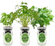 Environet Hydroponic Herb Growing Kit Set, Self-Watering Mason Jar Herb Garden Starter Kit Indoor, Windowsill Herbs Garden, Grow Your Own Herbs from Organic Seeds (Basil, Cilantro and Parsley)