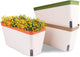 OurWarm Windowsill Herb Planter Box, Set of 3 Self Watering Plant Pots, 10.5 Inch Rectangular Planter Pot, Decorative Garden Flower Pots for Indoor Plants, Herbs, Vegetables, Flowers (3 Colors)