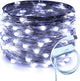 RUICHEN Silver Wire 33 Ft 100 LED USB Fairy String Lights with On/Off Switch (Cool White)