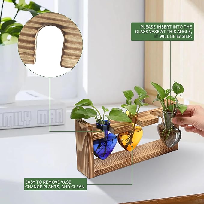 Plant Terrarium Propagation Stations Hydroponics Home Garden Decoration Gift for Women with Wooden Stand Heart Shaped Colored Glass Vase