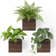 Dahey Small 4 Inch Wood Wall Hanging Planter Boxes for Indoor Plants 3 Pack Square Rustic Farmhouse Wall Mounted Flower Pot Vases with Plastic Liner for Flower Greenery Garden Home Centerpiece Decor