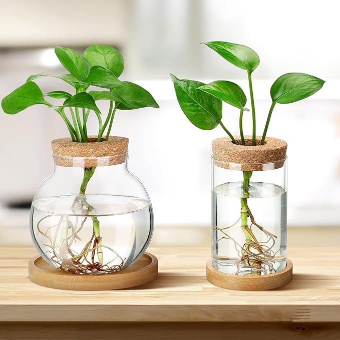 Layhit 4 Pcs Plants Propagation Stations vases Glass Planters with Wooden Lid and Bamboo Stand for Hydroponic Plants Gardening Gifts for Women Mom Home Office Tabletop Decoration(Funny Style)