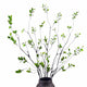 MISSWARM Faux Eucalyptus Stems for Vase, Artificial Greenery Branches 5pcs